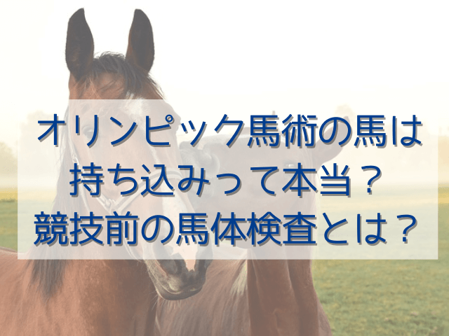 オリンピック馬術の馬は持ち込みって本当？競技前の馬体検査とは？