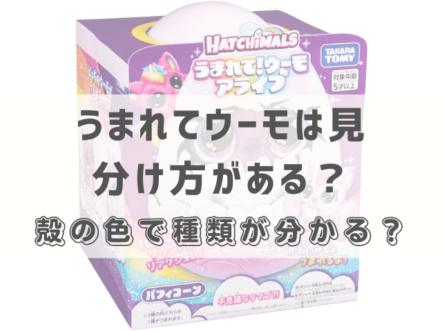 うまれてウーモは見分け方がある？殻の色で種類が分かる？