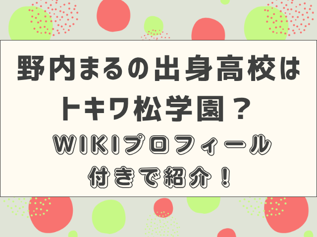 野内まるの出身高校はトキワ松学園？WIKIプロフィール付きで紹介！